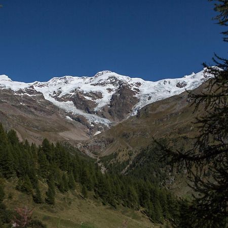 Hotel De Gletscher Gressoney-la-Trinité Extérieur photo